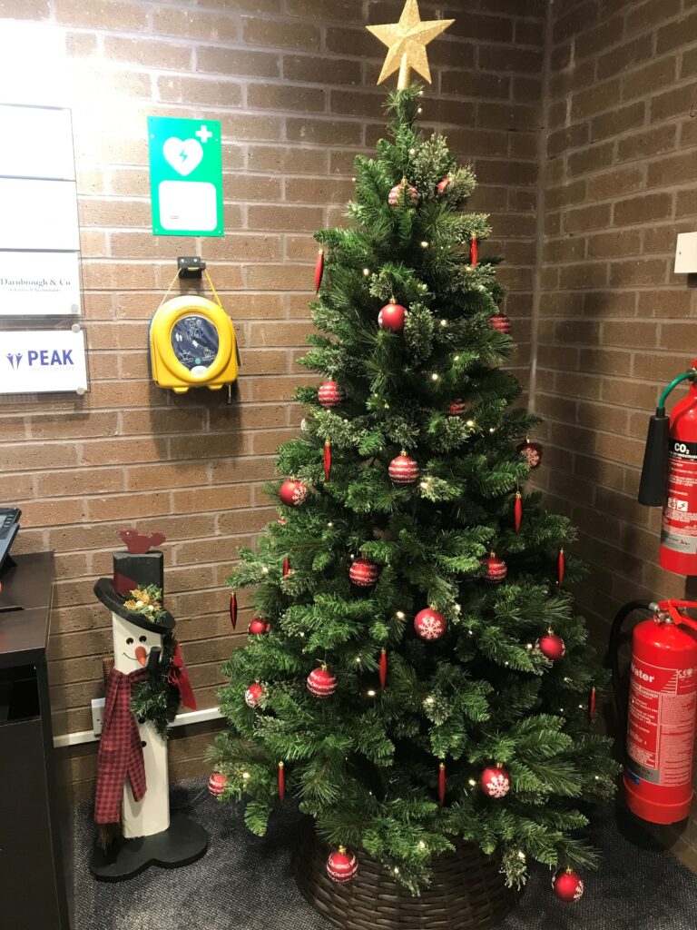 christmas-tree-2024-5
